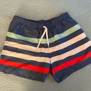 Men’s chubbies swim trunks